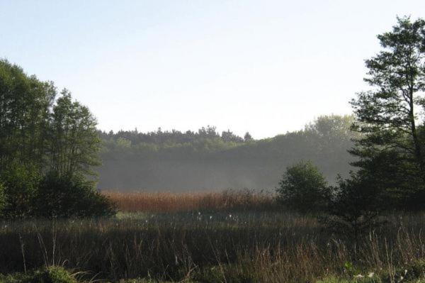 Fewo Ferien Am Schweriner See Flessenow Екстериор снимка